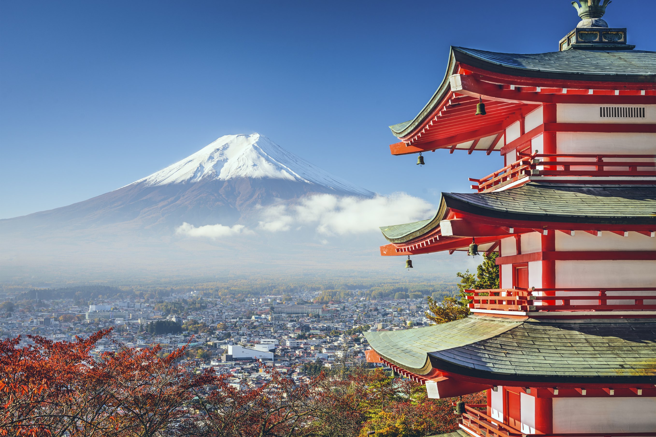 Japan & South Korea — Elite Eagles journey